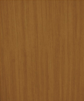 DARK-FIR